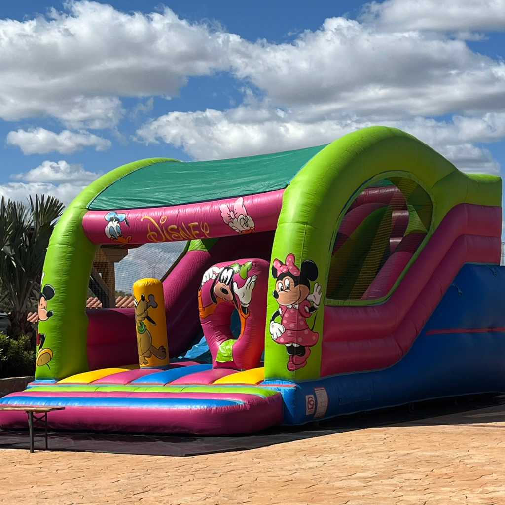 Castillo Gran Disney XL